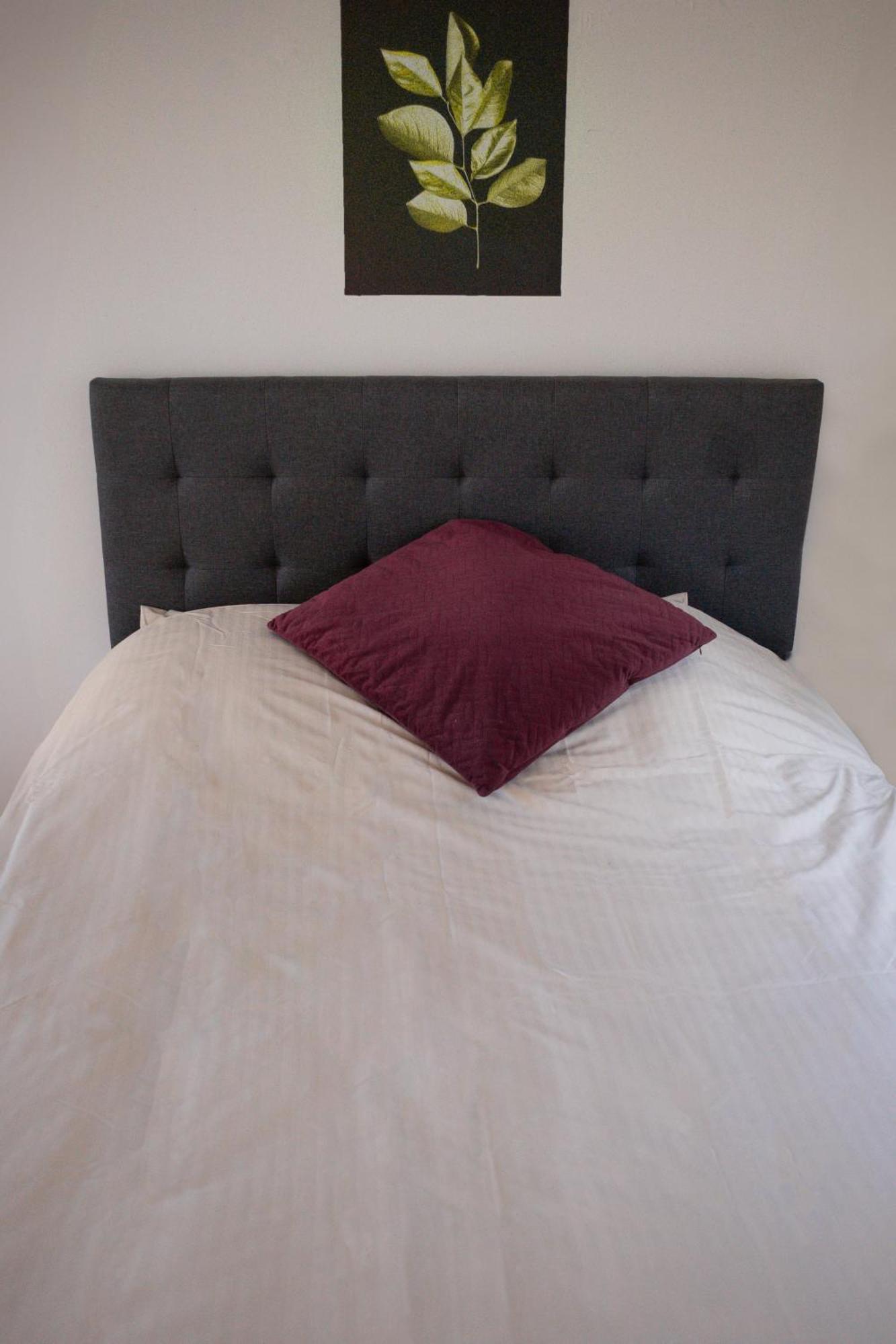 Spa Central Charmant Duplex Cosy 90M2 A 300M Rue Pietonne Et 500 M Du Port 볼로뉴쉬르메르 외부 사진